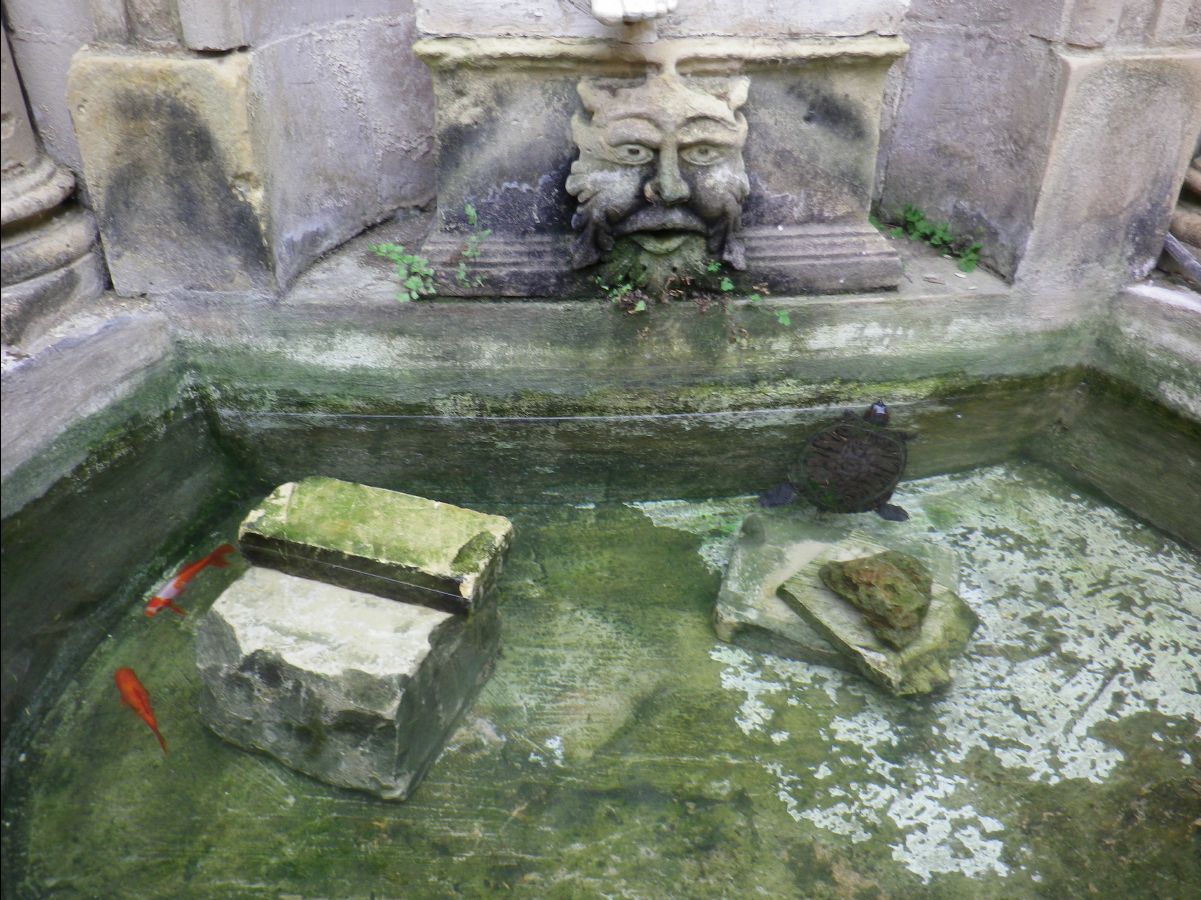 Casa Rocca Piccola05